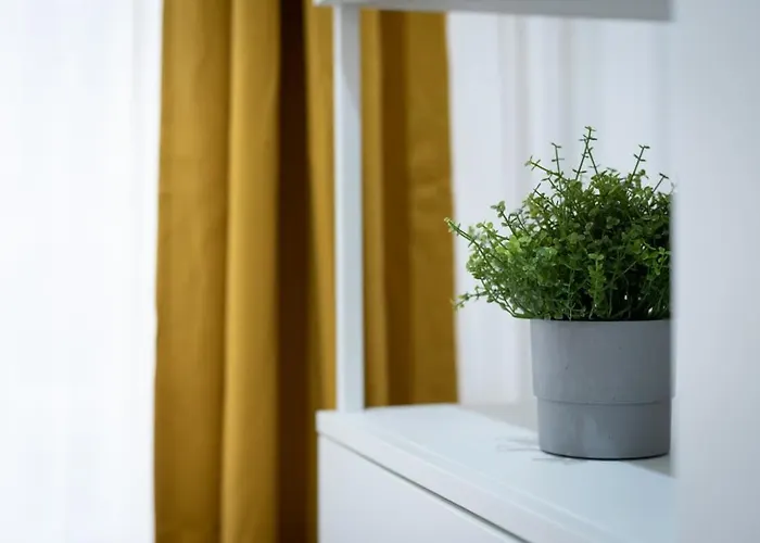 דירה Huge Aparment In The Center With Air Conditioning